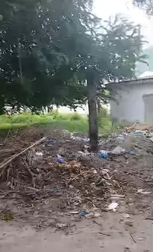 1acre Plot Inayotizama Lami Inauzwa Tabata