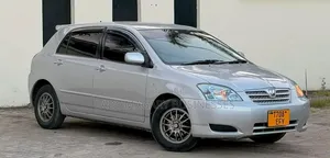 Toyota Allex 2005 Silver
