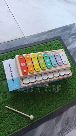 Fun Piano Plateng Toy