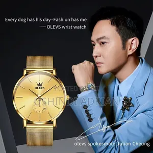 Olevs Watch–Classic Luxury Style