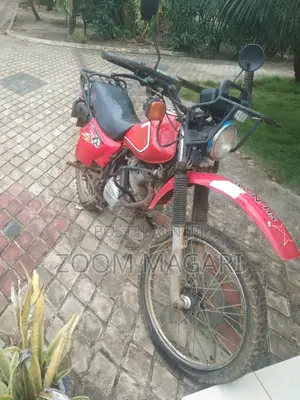 Shineray XY250-7 2021 Red