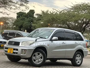 Toyota RAV4 2004 Silver
