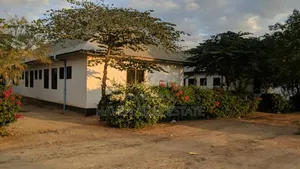 *Eneo La Ekari 3.7 Linauzwa Mbwanga-Mipango, Dodoma*