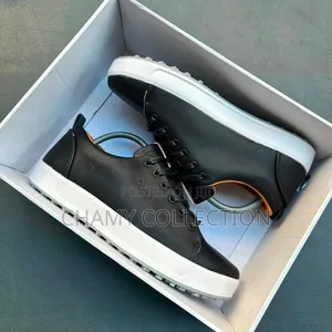 Leather Ecco