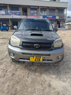 Toyota RAV4 2006 Gray