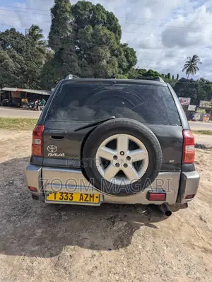 Toyota RAV4 2006 Gray