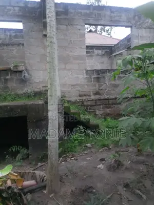 Boma Na Kiwanja Kikubwa Bei Miln 55