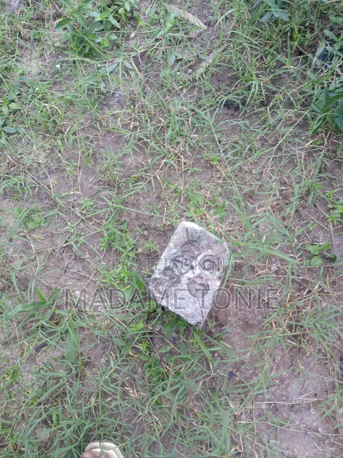 Boma Na Kiwanja Kikubwa Bei Miln 55