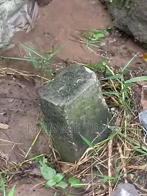 Boma Na Kiwanja Kikubwa Bei Miln 55