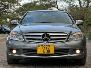 Mercedes-Benz C-Class 2009 Gray