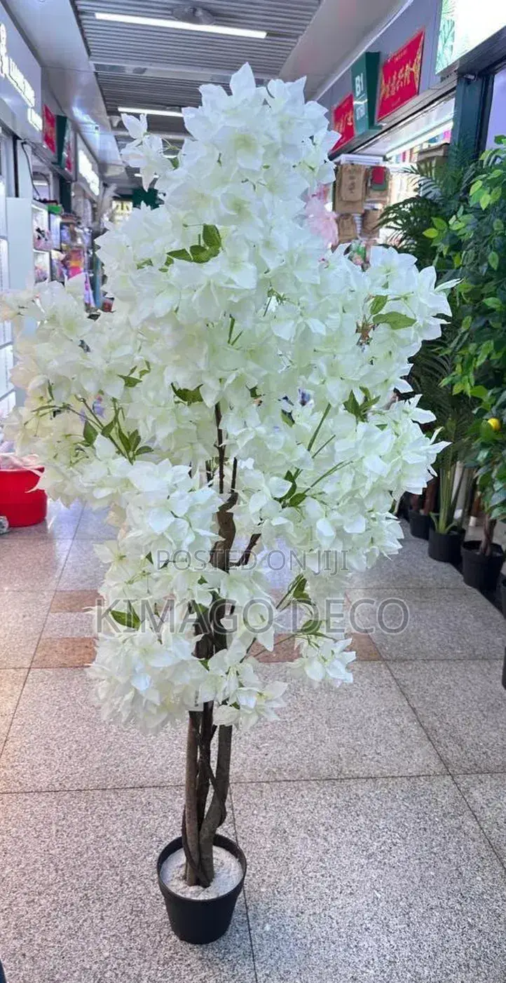 Weka Mvuto Wa Tofauti Ndani Kwako Kwa Cherry Tree Kama Hii 160cm