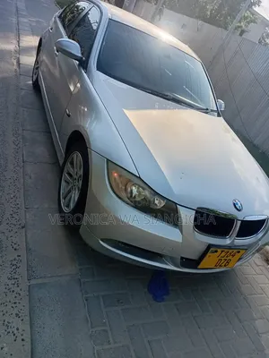 BMW 3 Series 2007 Silver