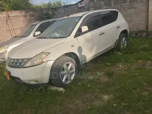 Nissan Murano 2005 Pearl