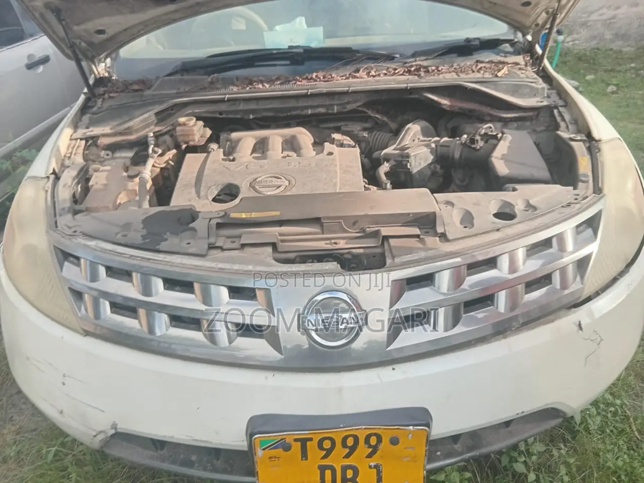 Nissan Murano 2005 Pearl