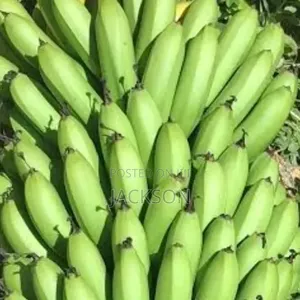 Ndizi Za Banana