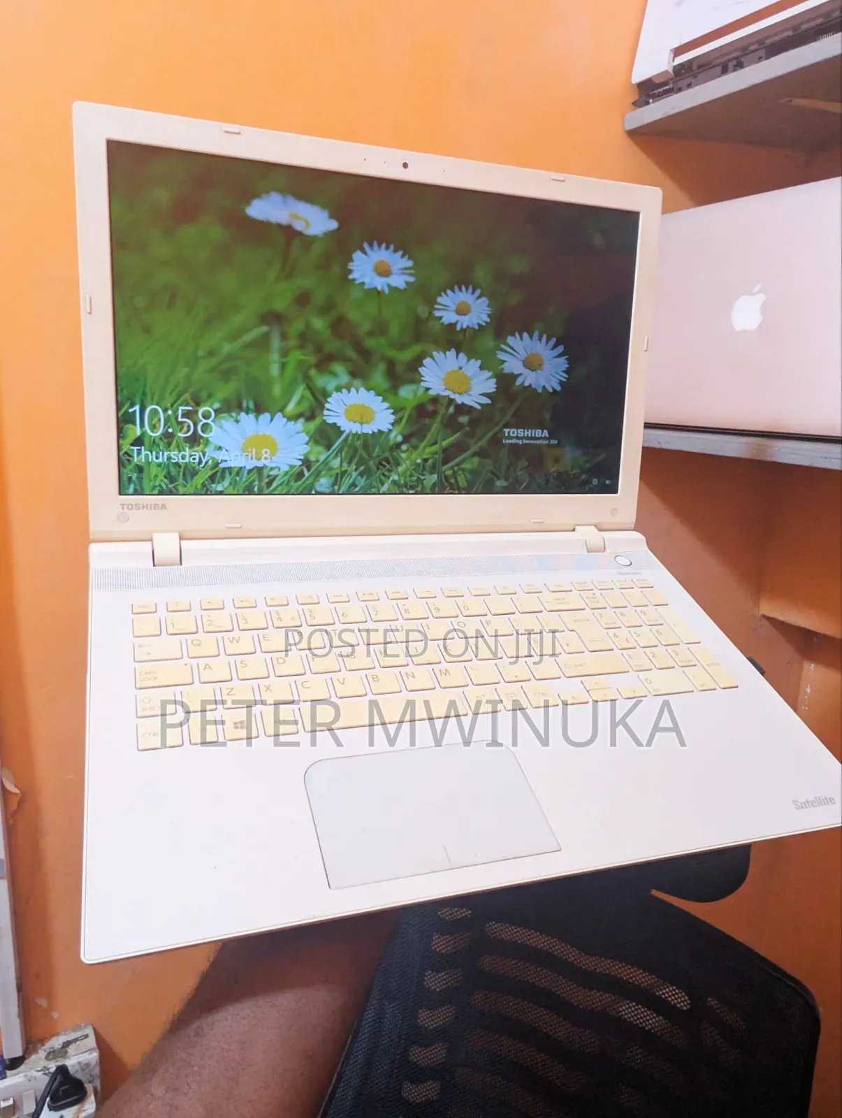 Laptop Toshiba Satellite Pro L550 32GB Intel Pentium SSD 320GB
