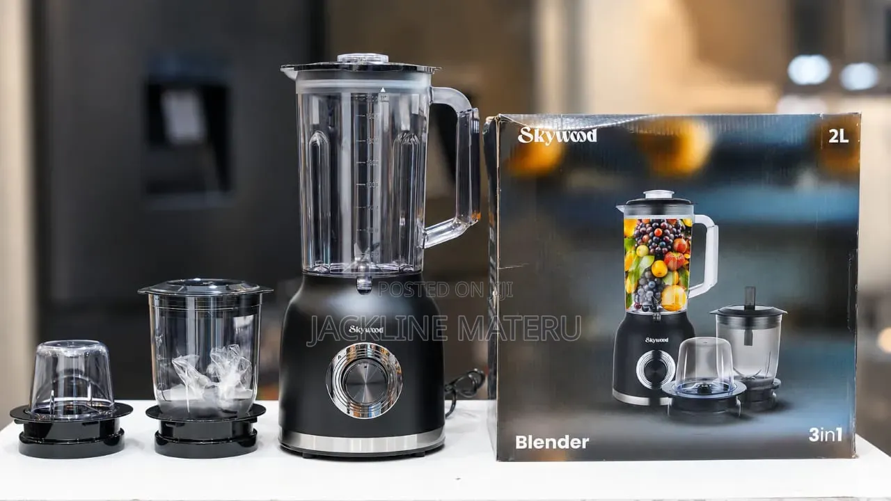 Skywood Blender 3in1