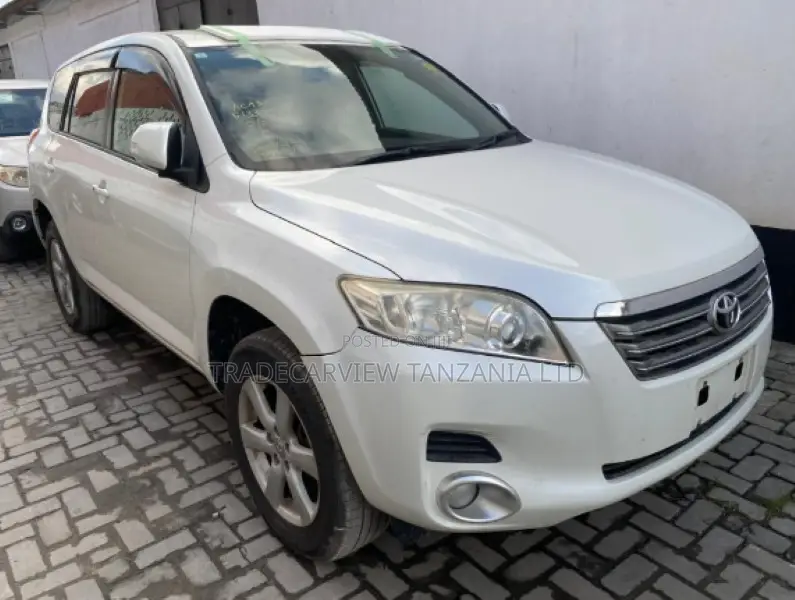Toyota Vanguard 2009 Pearl