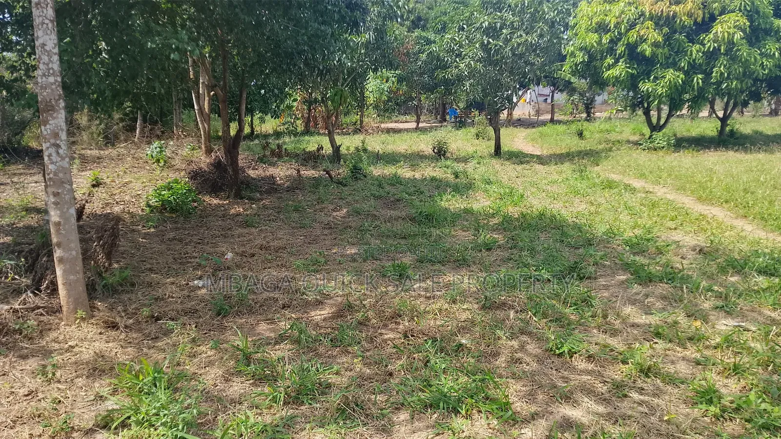 Plot Area SQM 4260 for Sale at Madale Msigani