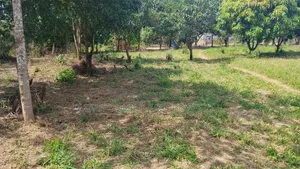 Plot Area SQM 4260 for Sale at Madale Msigani