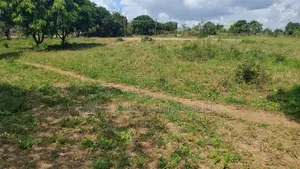 Plot Area SQM 4260 for Sale at Madale Msigani