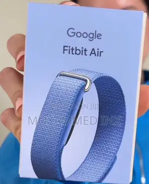 Google Fitbit Air