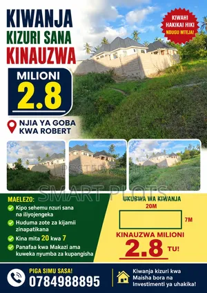 Kiwanja Kizuri Sana Kinauzwa Milioni 2.8 Goba Kwa Robert