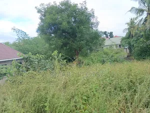 Kiwanja Kizuri Sana Kinauzwa Njia Ya Goba Kwa Robert,