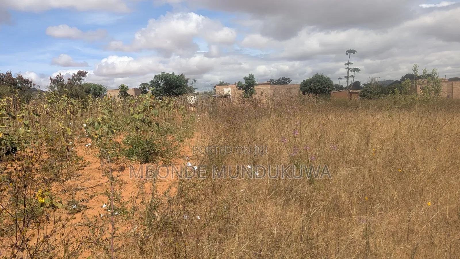 Kiwanja Dodoma Udom
