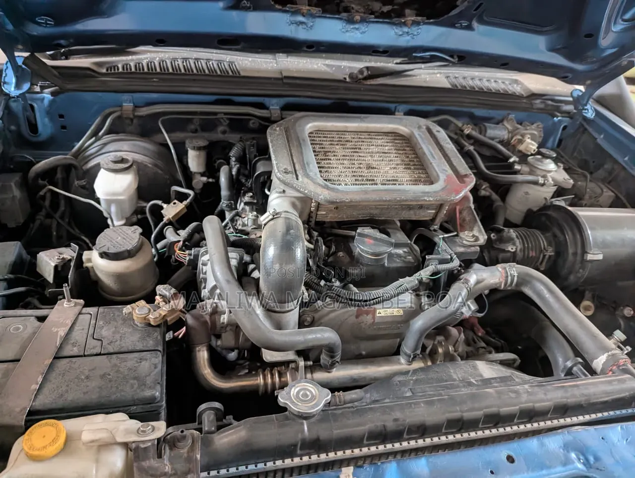 Nissan Hardbody 2009 Blue