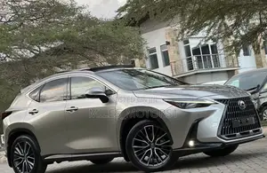 Lexus NX 2022 Gray