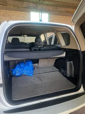 Toyota Vanguard 2009 White