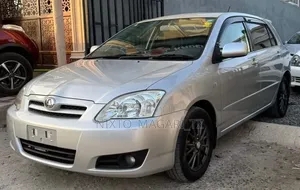 Toyota Allex 2005 Silver