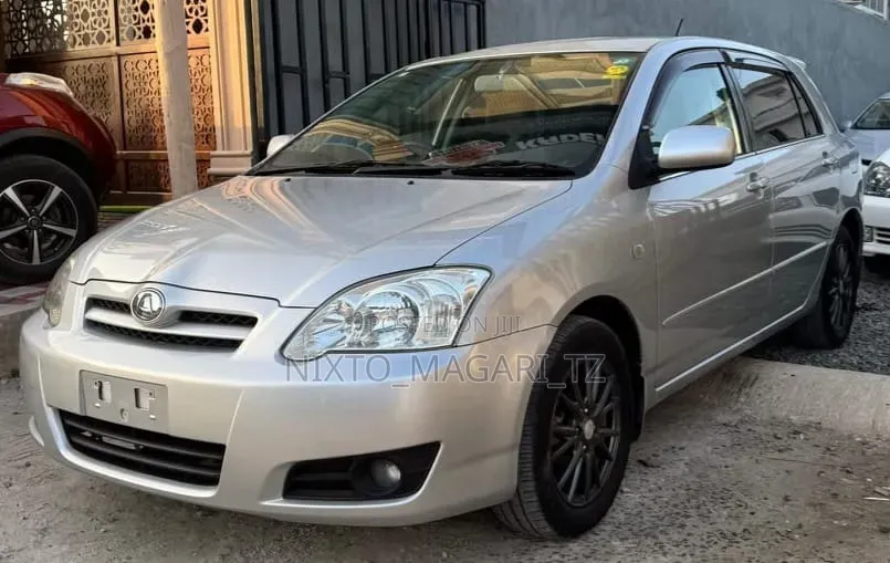 Toyota Allex 2005 Silver