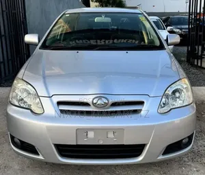 Toyota Allex 2005 Silver