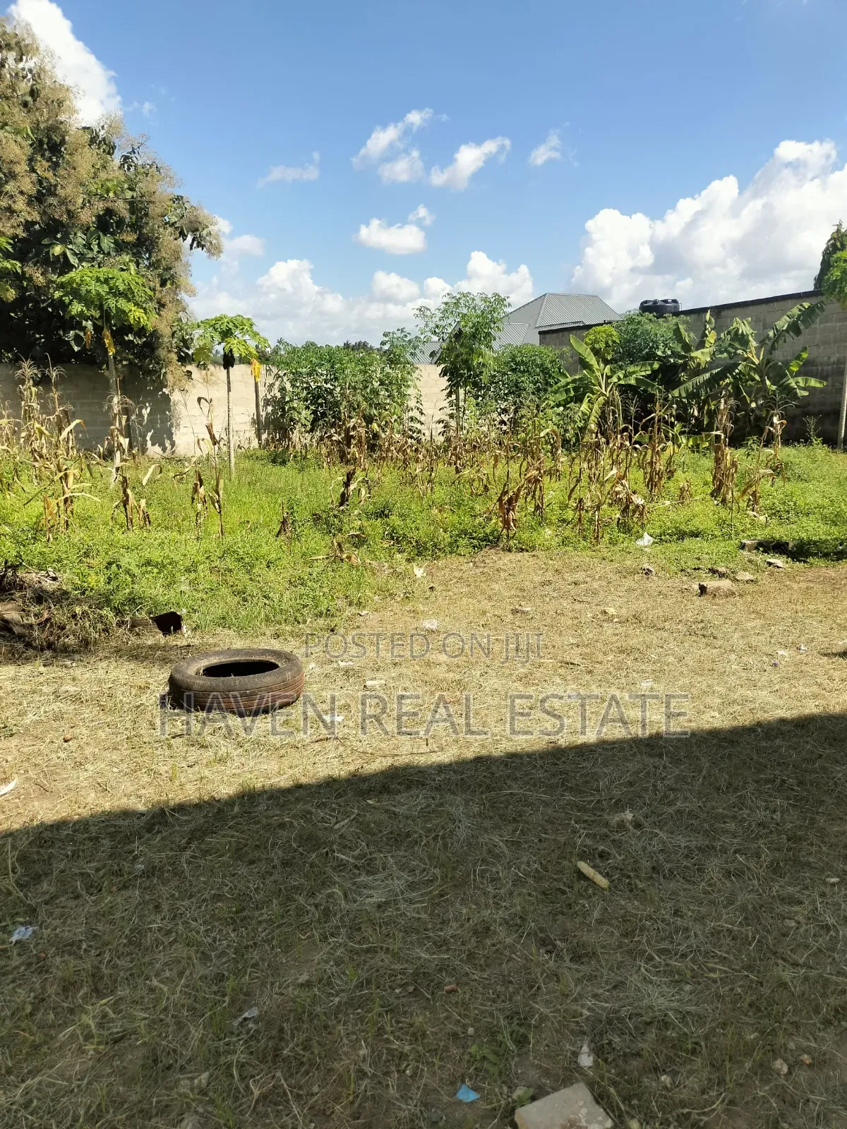 Beautifully Plot for Sale at Salasala