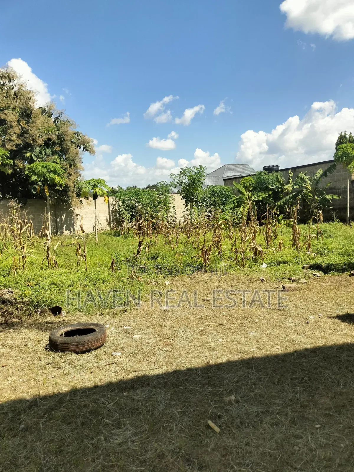 Beautifully Plot for Sale at Salasala