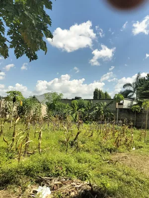 Beautifully Plot for Sale at Salasala