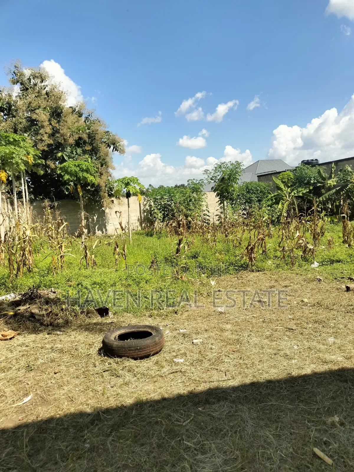 Beautifully Plot for Sale at Salasala