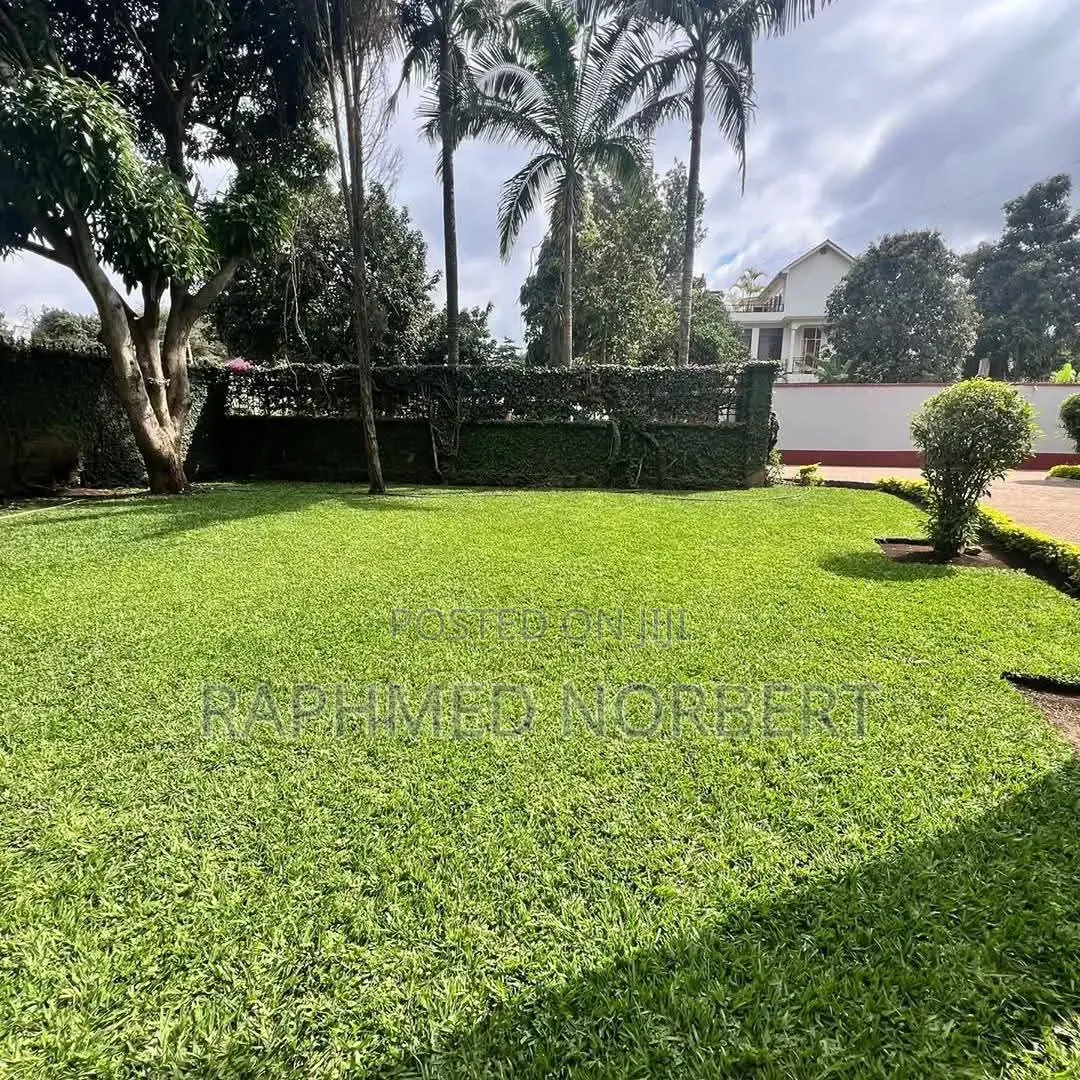 4bdrm House in Tanzania Real, Central Business Area for rent