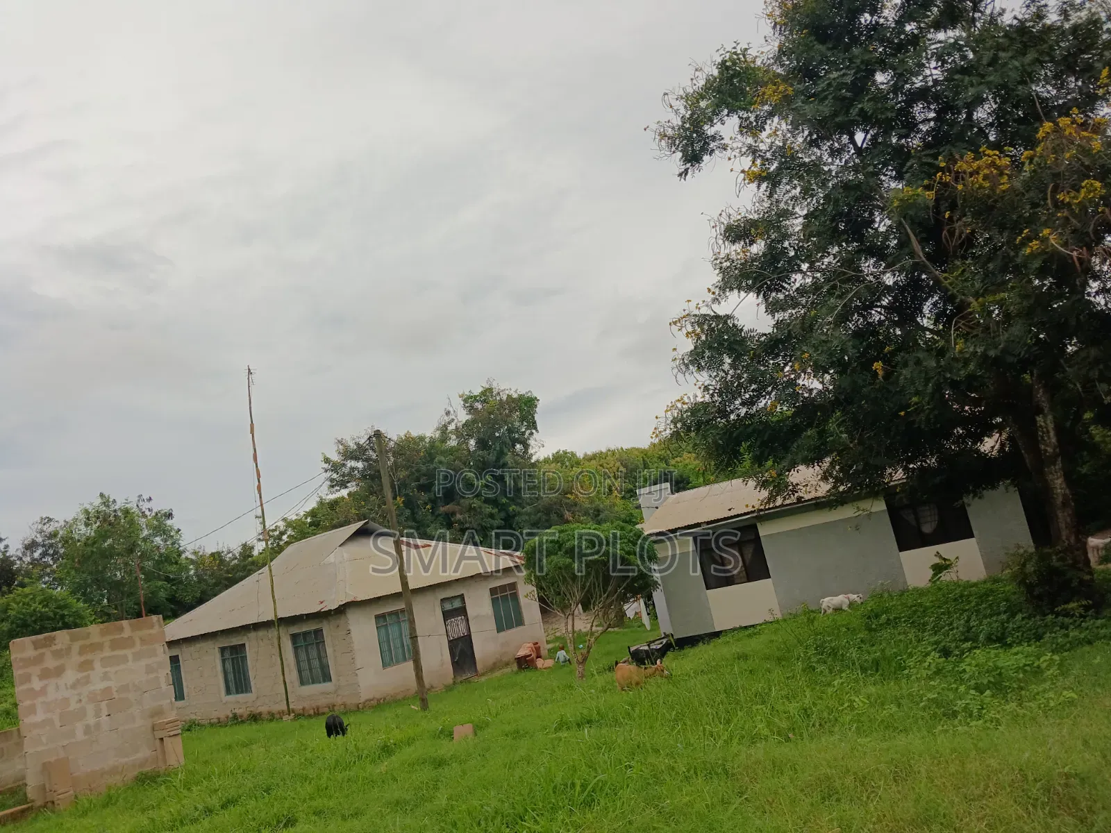 Kiwanja Kizuri Sana Chenye Vyumba Viwili Vya Kumalizia Kinauzwa