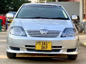 Toyota Allex 2001 Silver
