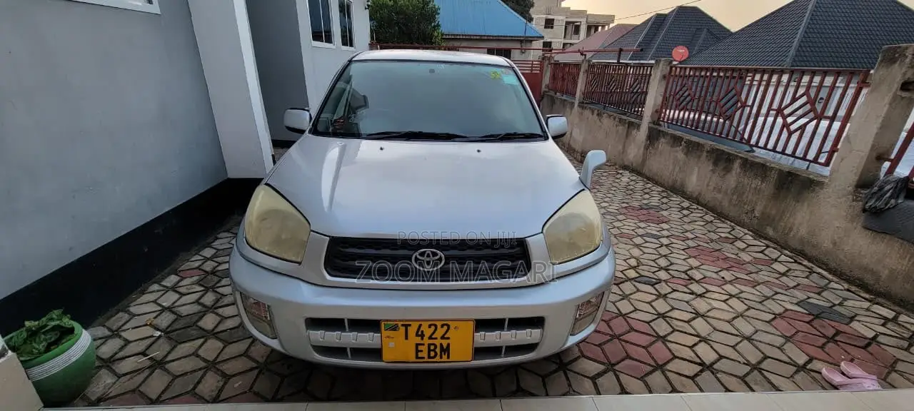 Toyota RAV4 2004 Silver