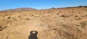 8bdrm House in Ediba Real Estate, Njiro for rent
