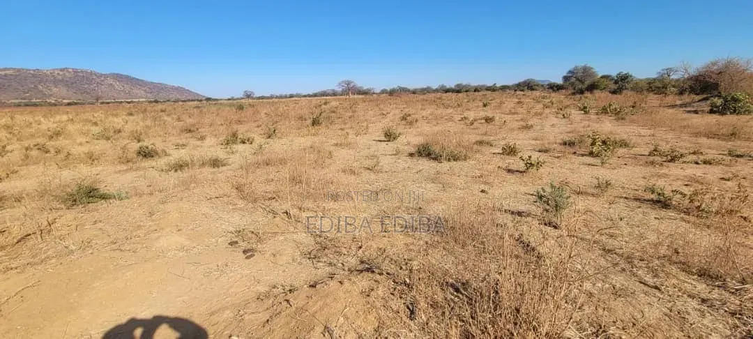 8bdrm House in Ediba Real Estate, Njiro for rent