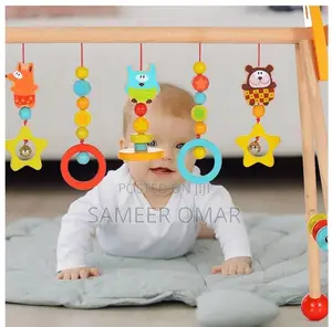 Children Wooden Play Gym