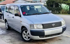 Toyota Probox 1.4 DT DX Comfort 2WD 2004 Silver