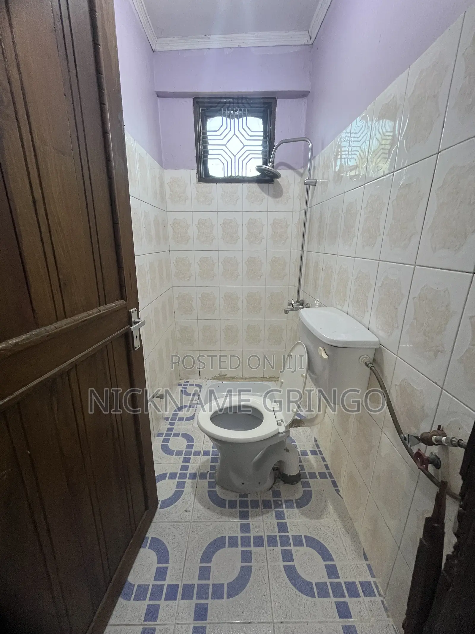 4bdrm House in Bwiru Place, Ilemela Ward for rent