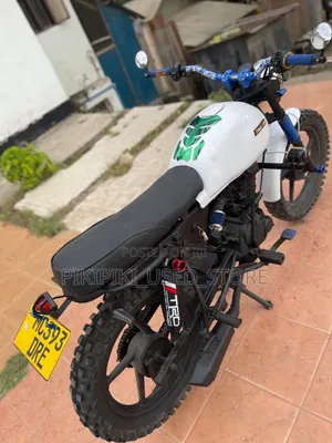 Autodex 2025 White