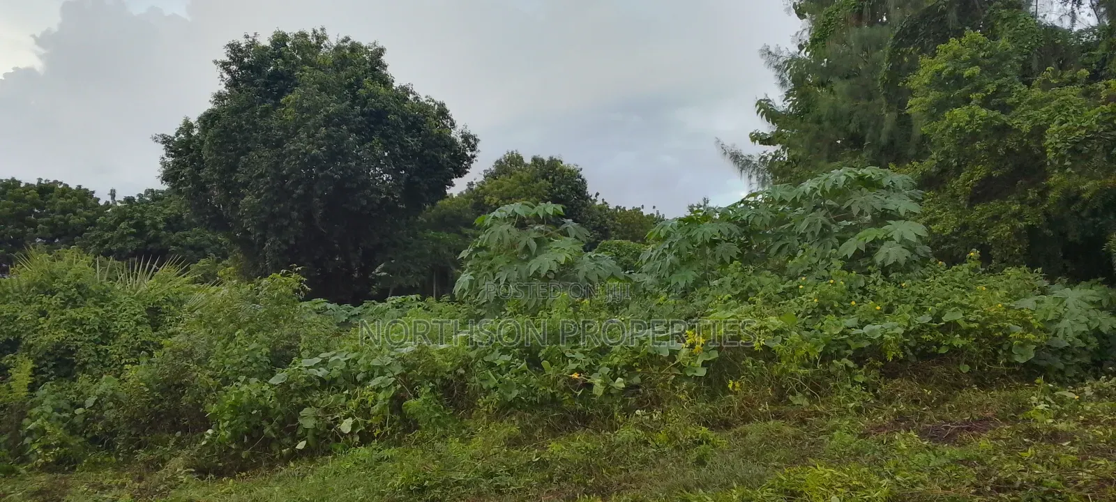 Plot Near Beach Geza Ulole Kigamboni